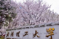 廣東MBA考研調(diào)劑武漢理工大學(xué)有什么條件？