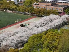 同濟(jì)大學(xué)2022年MBA復(fù)試時(shí)間